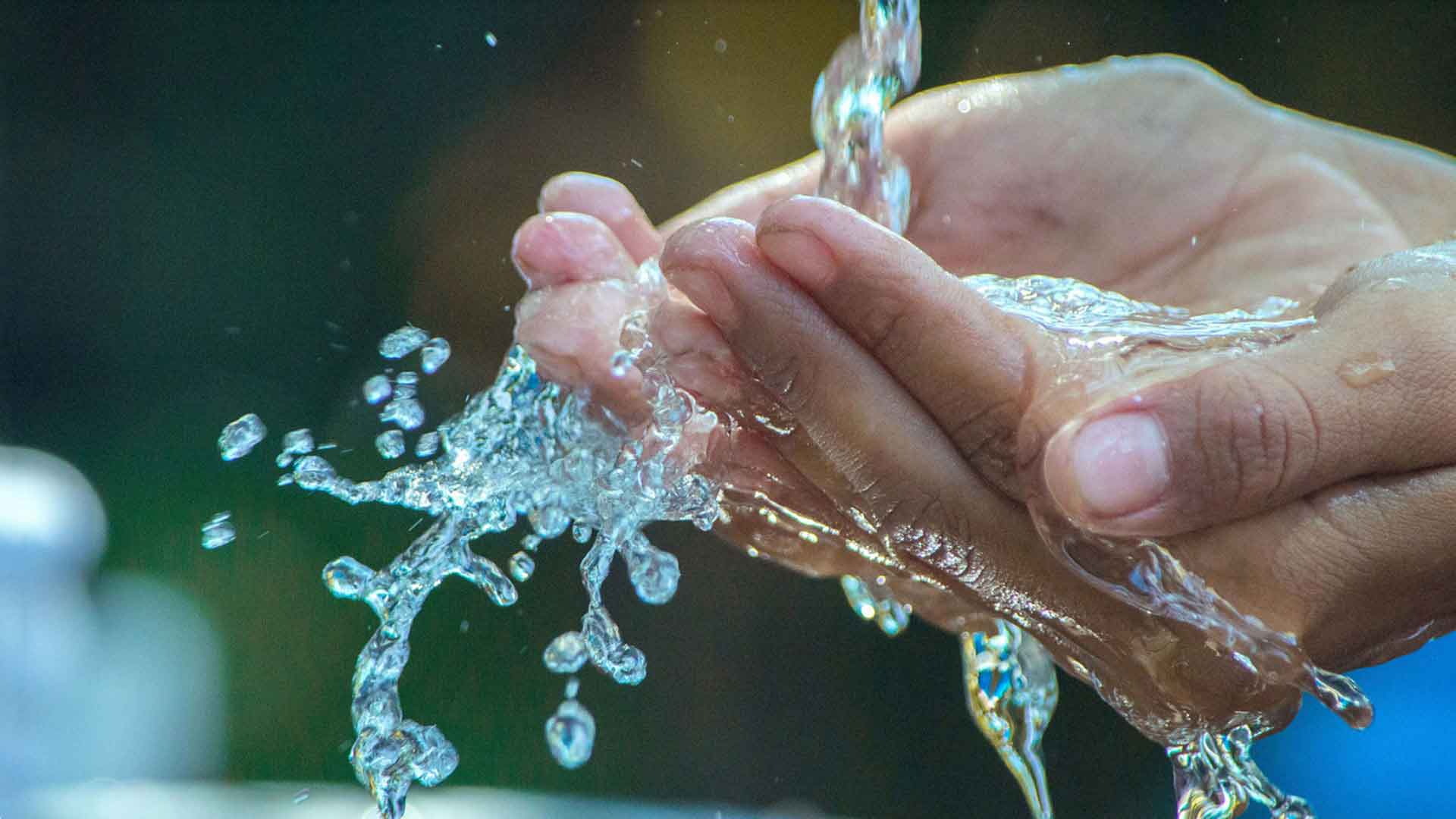 Boost Your Brand Visibility